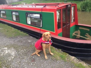 pet friendly canal holiday